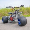 mini trike,tgv mini trike,mini trick for sale,mini trike frame,mini bike trike