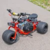 mini trike,tgv mini trike,mini trick for sale,mini trike frame,mini bike trike