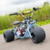 mini trike,tgv mini trike,mini trick for sale,mini trike frame,mini bike trike